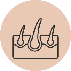 Increases hair thickness and density