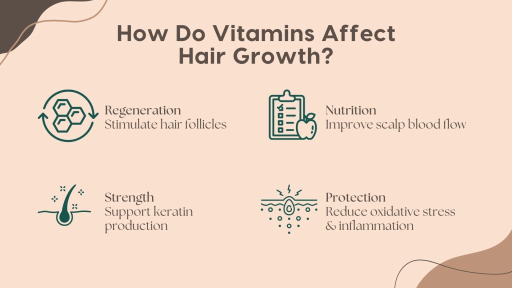 Infographic explaining how vitamins influence hair growth, featuring four key benefits with minimalist icons. The image highlights: 1) 'Regeneration'—stimulating hair follicles for new growth, 2) 'Nutrition'—improving scalp blood circulation, 3) 'Strength'—supporting keratin production for stronger hair, and 4) 'Protection'—reducing oxidative stress and inflammation that contribute to hair loss. This visual guide educates users on the importance of vitamins in maintaining healthy hair and preventing thinning or breakage.