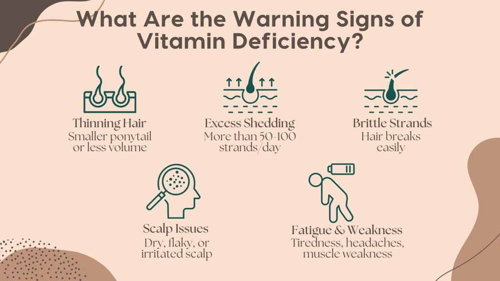 Infographic highlighting the warning signs of a vitamin deficiency, featuring five key symptoms with minimalistic icons. The image explains that vitamin deficiencies can lead to: 1) 'Thinning Hair'—reduced volume or a smaller ponytail, 2) 'Excess Shedding'—losing more than 50–100 strands per day, 3) 'Brittle Strands'—hair that breaks easily, 4) 'Scalp Issues'—dry, flaky, or irritated skin, and 5) 'Fatigue & Weakness'—including tiredness, headaches, and muscle weakness. This visual guide educates users on how nutrient deficiencies impact hair and overall health, emphasizing the importance of a well-balanced diet.