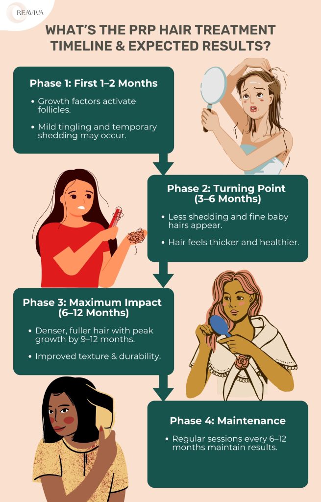 Infographic illustrating the PRP hair treatment timeline and expected results across four phases. In Phase 1 (1–2 months), growth factors activate hair follicles, with mild tingling and temporary shedding. Phase 2 (3–6 months) shows reduced shedding and the appearance of fine baby hairs, making hair feel thicker. Phase 3 (6–12 months) delivers maximum impact, with denser, fuller hair peaking at 9–12 months and improved texture. Phase 4 (Maintenance) requires sessions every 6–12 months to sustain results. The visual features illustrated women experiencing different stages of hair regrowth, reflecting the progressive improvement with PRP therapy.